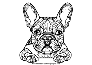 French bulldog coloring pages 11
