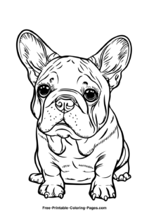 French bulldog coloring pages 16