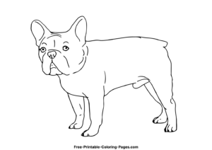 French bulldog coloring pages 2