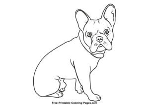 French bulldog coloring pages 4